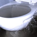 overflowing-toilet-is-a-plumbing-emergency