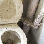 broknen-toilet-flush-problem