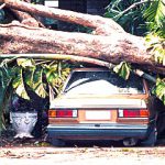 car damaged in stormy weather