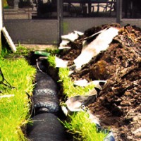 french drain toronto